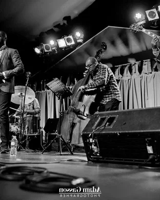 Gold Coast Jazz: The Hot Sardines