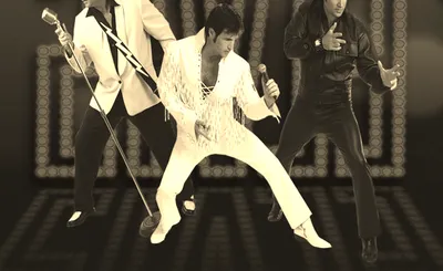 Chris Macdonald's Memories of Elvis