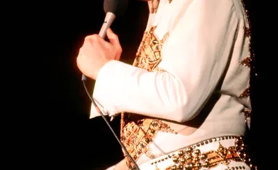 Elvis In Concert
