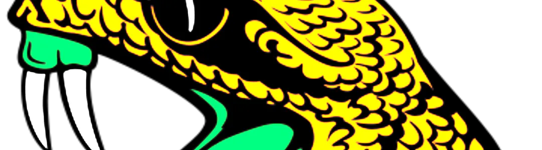 Florida A&M Rattlers Football