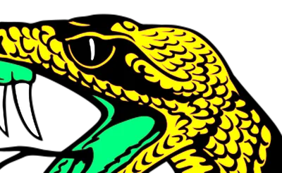 Florida A&M Rattlers Football