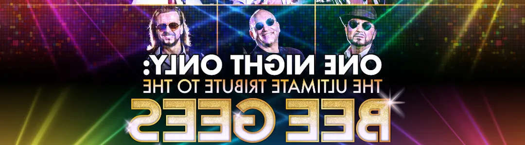The New York Bee Gees - Bee Gees Tribute
