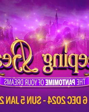 Sleeping Beauty in a Sparkling Show