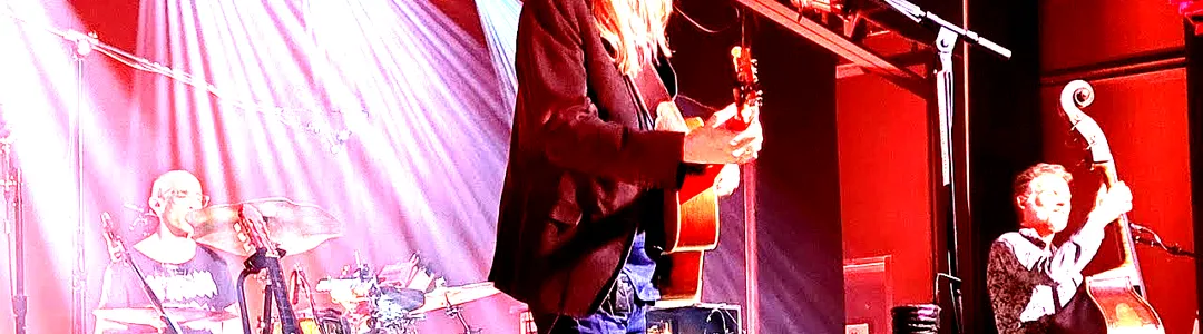 The Wood Brothers
