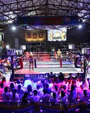 Fists of Fury Series